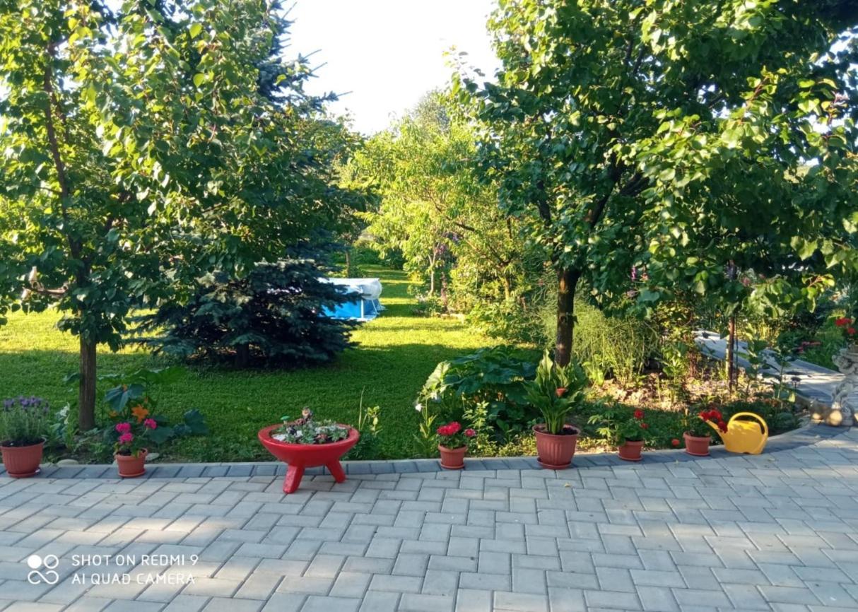 Agropensiunea Florina-Maria Branistea  Exterior photo