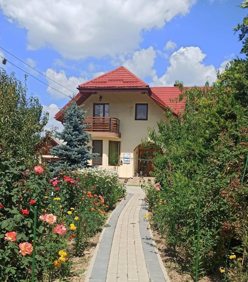 Agropensiunea Florina-Maria Branistea  Exterior photo